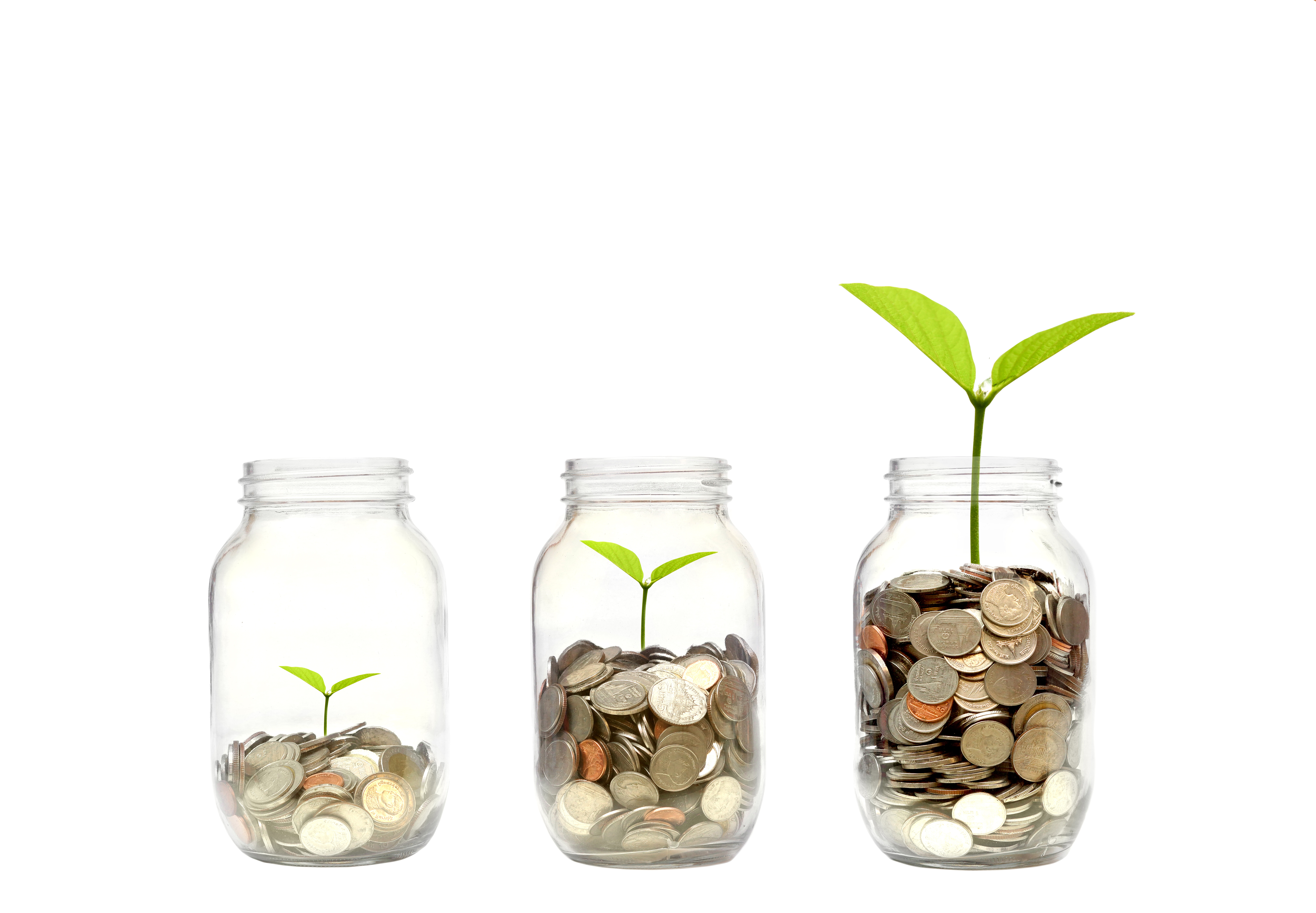 Do investors cleanse their conscience through Socially Responsible Investments?