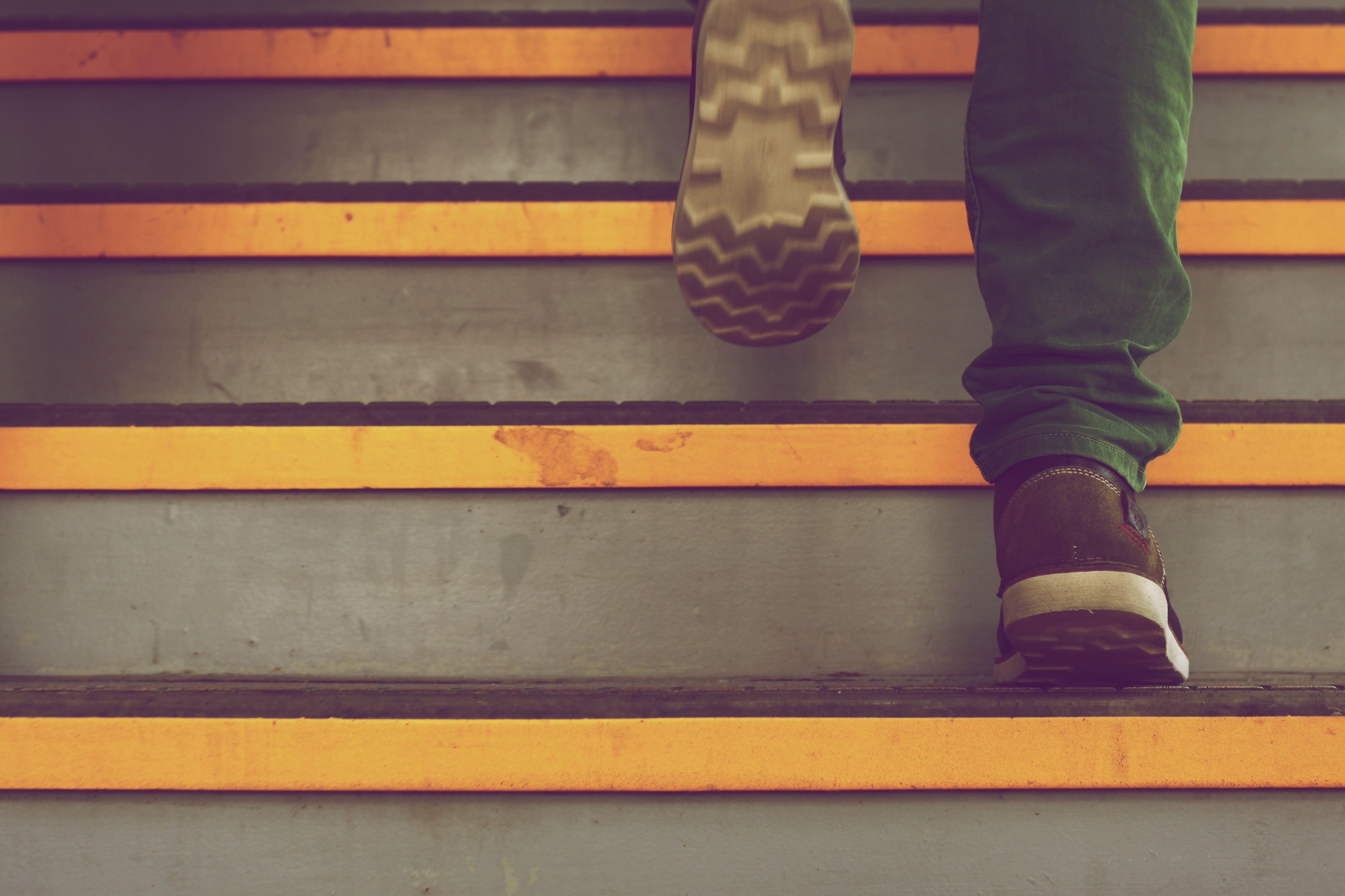 What does social mobility in organisations look like?