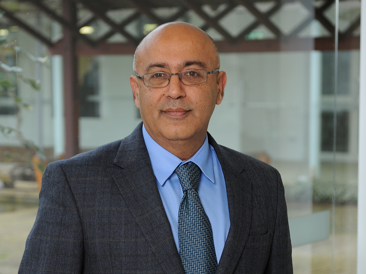 Professor Rajneesh Narula presents at Academy of International Business Webinar